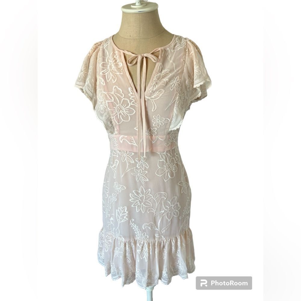 NWOT Parker Blush Lace Dress
